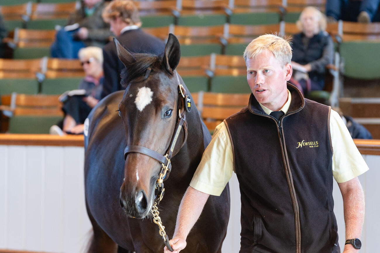 タタソールズで落札されたイクイノックス産駒（（C）Tattersalls）
