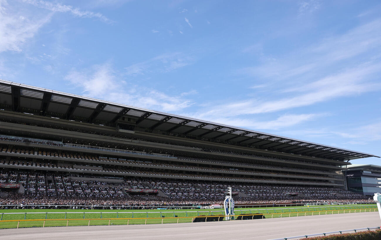 東京競馬場のメインスタンド（2026年5月撮影）