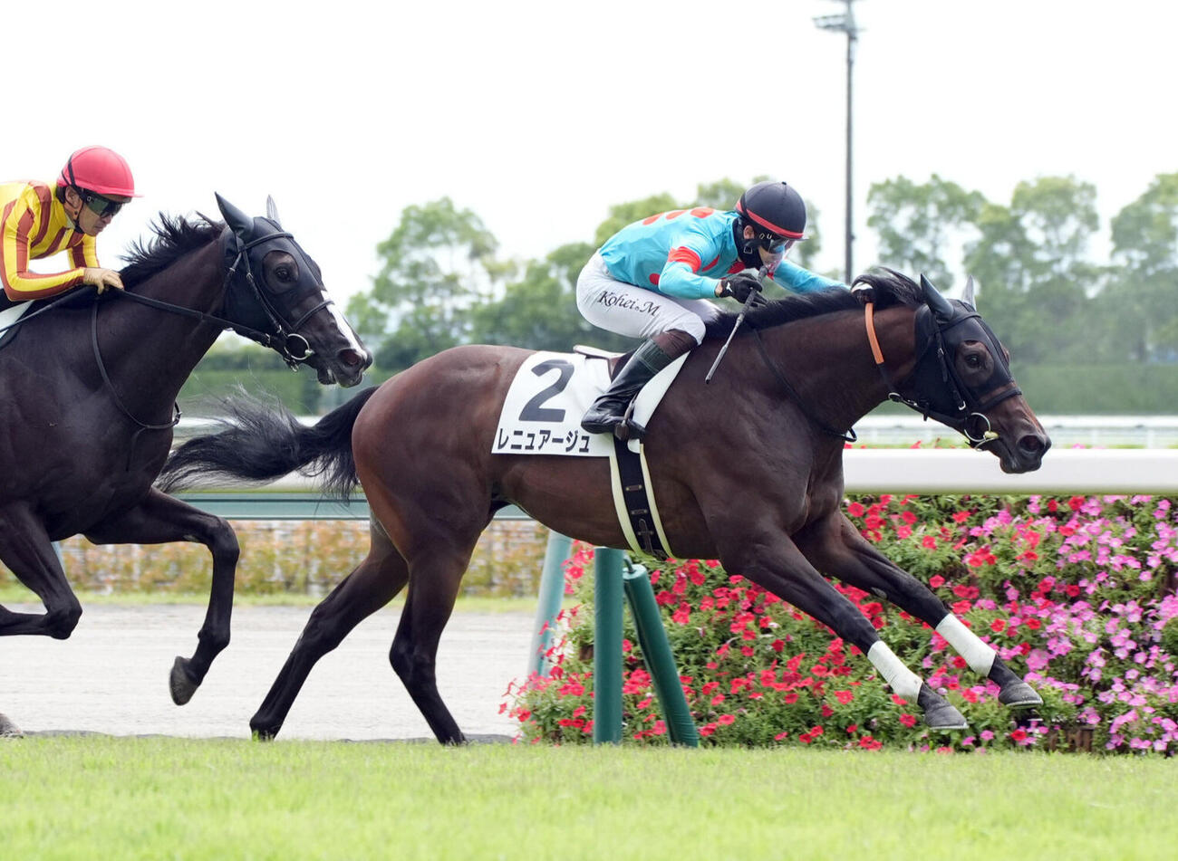 8月9日中京2R新馬戦を制したレニュアージュ