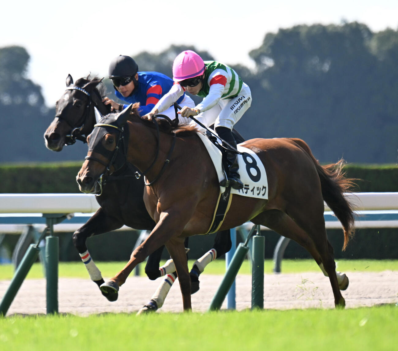 2歳コースレコードで未勝利戦を制したバティック（撮影・和賀正仁）