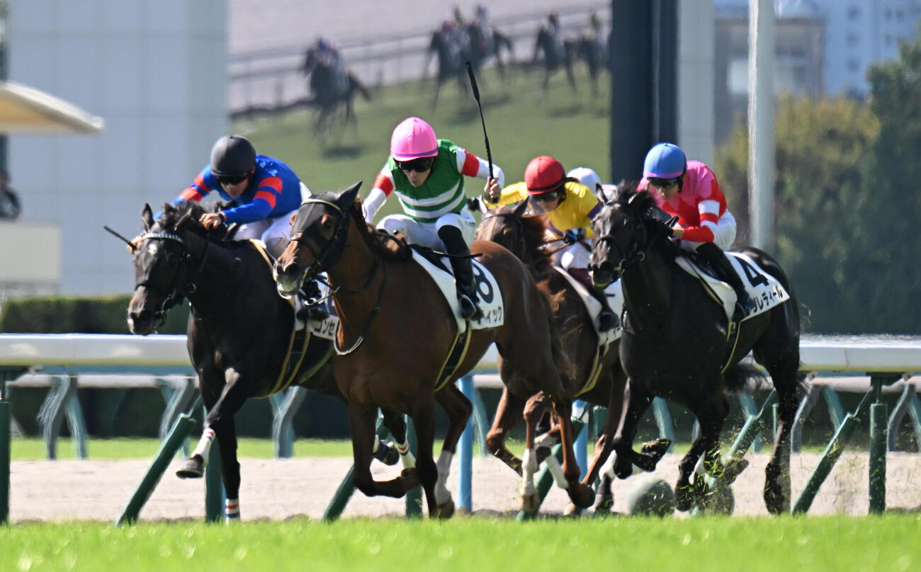 京都2R2歳未勝利　1着8番バティック、2着2番コンセルノ、3着3番イーサンマリーン（撮影・和賀正仁）