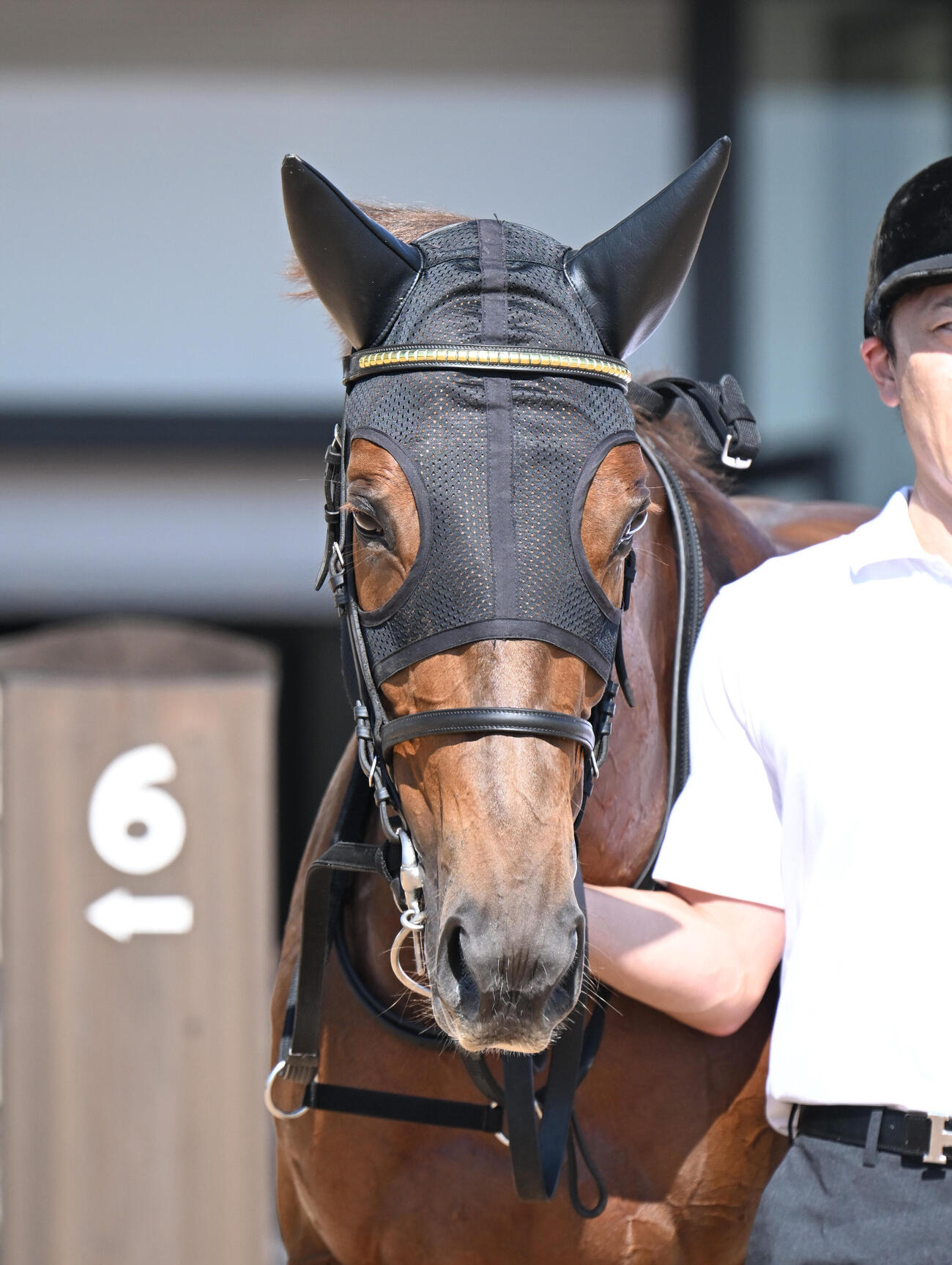 京都2R2歳未勝利　1着8番バティック（撮影・和賀正仁）