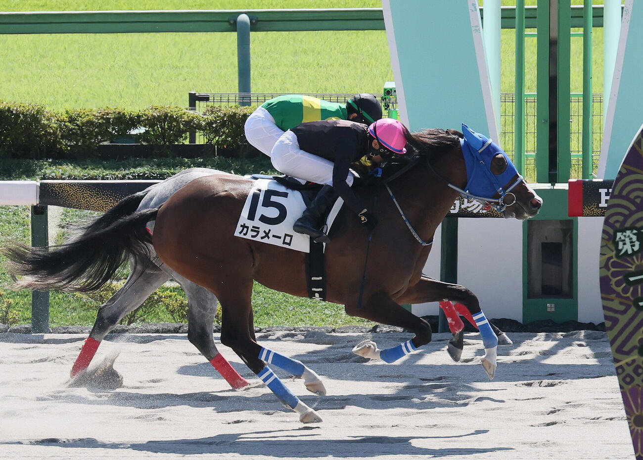 東京4R、2歳新馬戦を制したカラメーロと大野拓弥騎手（手前）（撮影・丹羽敏通）