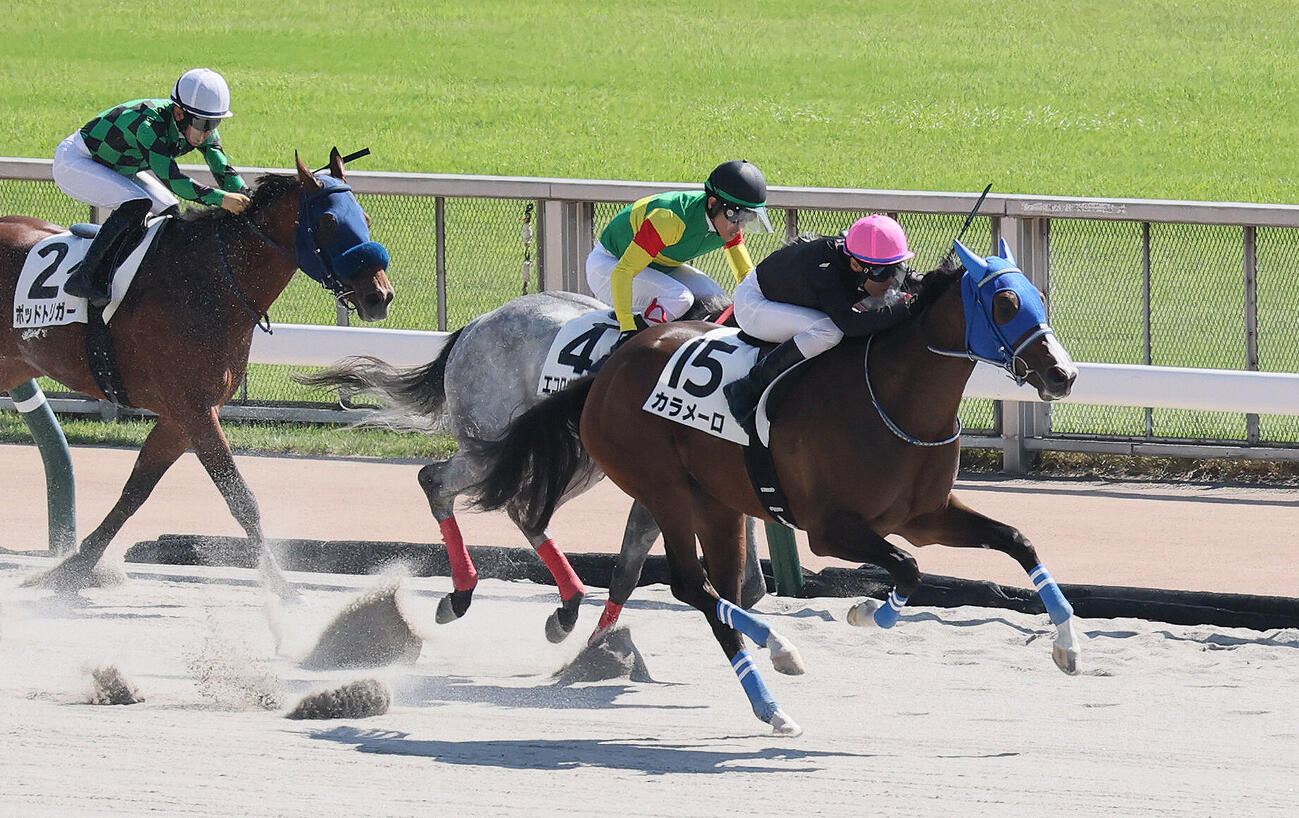 東京4R、2歳新馬戦を制したカラメーロと大野拓弥騎手（手前）（撮影・丹羽敏通）