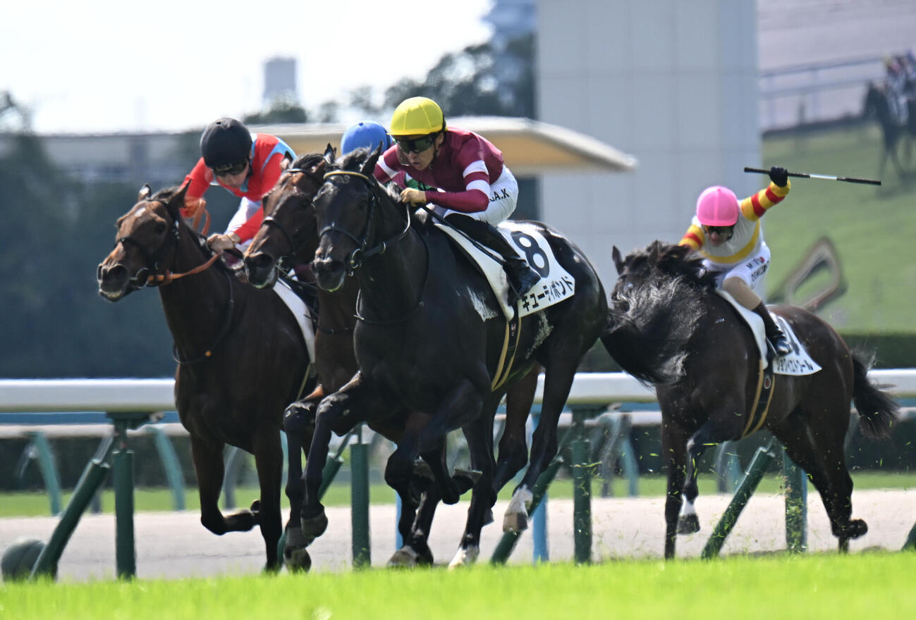 京都5R、好位から抜け出し新馬戦を制するキューティボンド（手前）（撮影・和賀正仁）