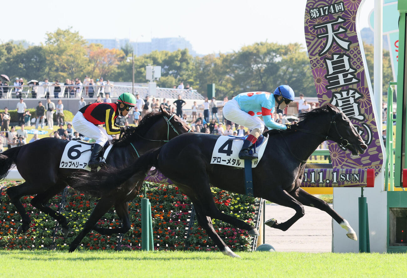 東京8R、3歳上1勝クラスを制したアローメタルとC・ルメール騎手（撮影・丹羽敏通）