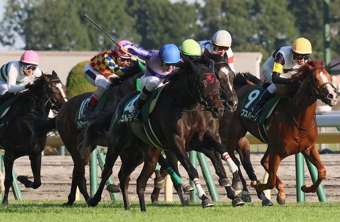 アゴルディーノが制したサウジアラビアRC（撮影・丹羽敏通）