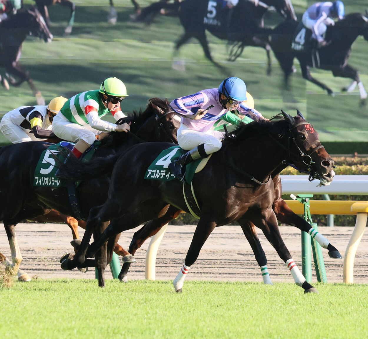 サウジアラビアRC3着のフィリオソラーレ（左）（撮影・丹羽敏通）