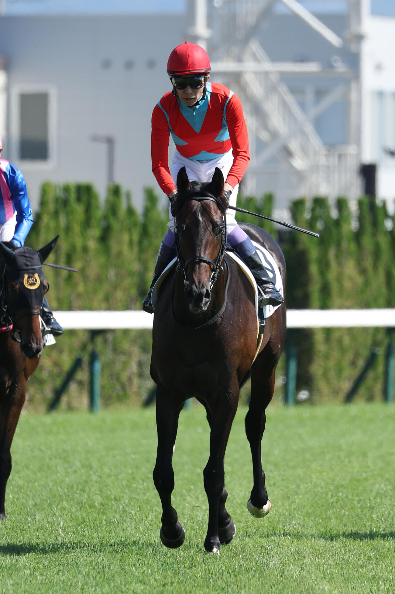 京都2R、武豊騎手を背に2歳未勝利をレコードタイムで勝ち上ったオンユアマークス（撮影・白石智彦）