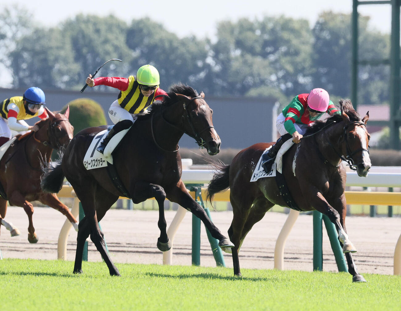 東京3R、2歳未勝利戦を制したモナークスヴァラーとミカエル・ミシェル騎手（左）（撮影・丹羽敏通）