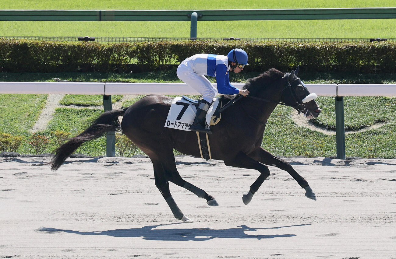東京4R、2歳新馬戦を制したロードアマデウスと横山和生騎手（撮影・丹羽敏通）