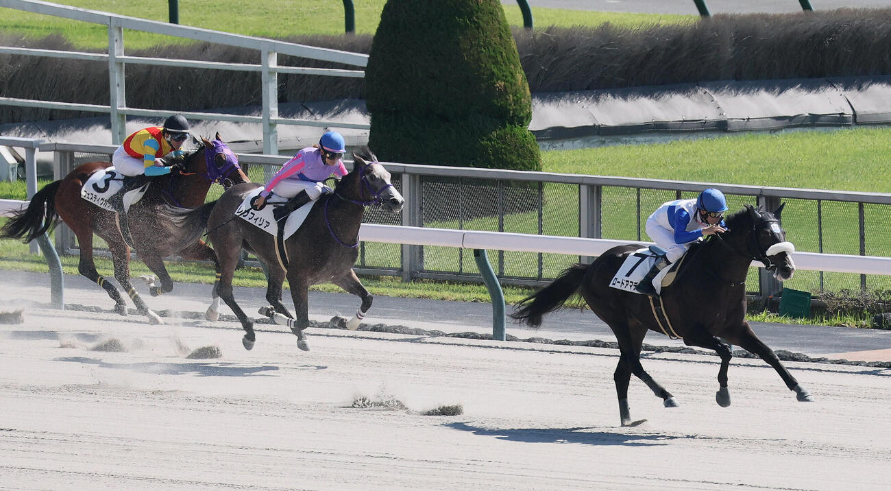 東京4R、2歳新馬戦を制したロードアマデウスと横山和生騎手（撮影・丹羽敏通）