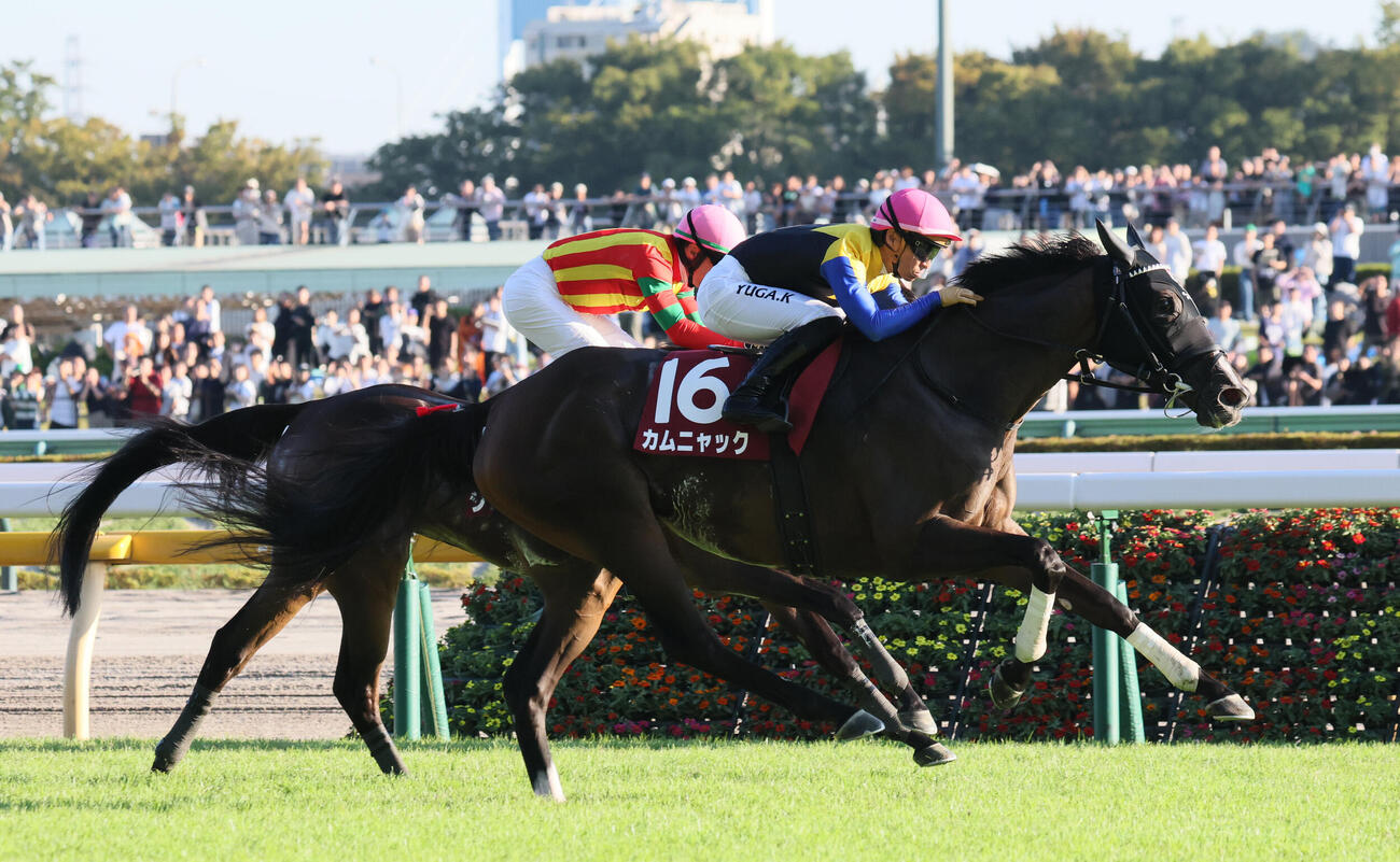 アイルランドTを制したカムニャックと川田将雅騎手（手前）（撮影・丹羽敏通）