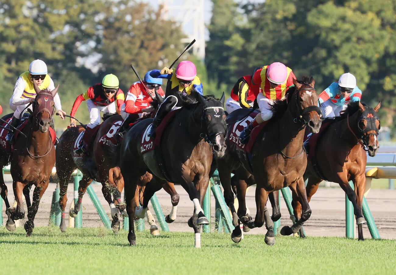カムニャックが制したアイルランドT（撮影・丹羽敏通）