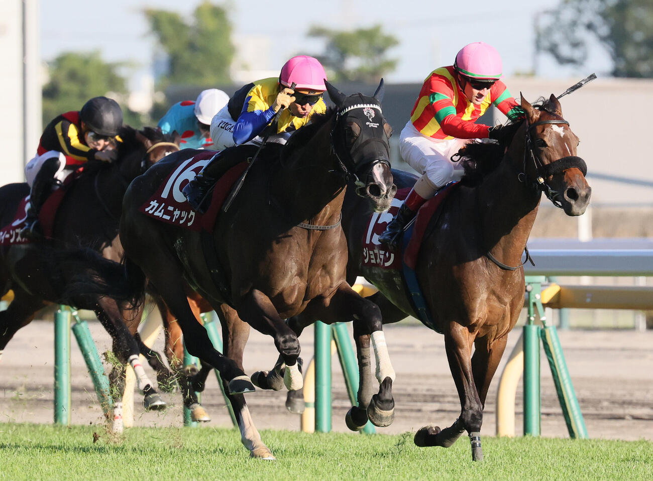 アイルランドTを制したカムニャックと川田将雅騎手（左）（撮影・丹羽敏通）