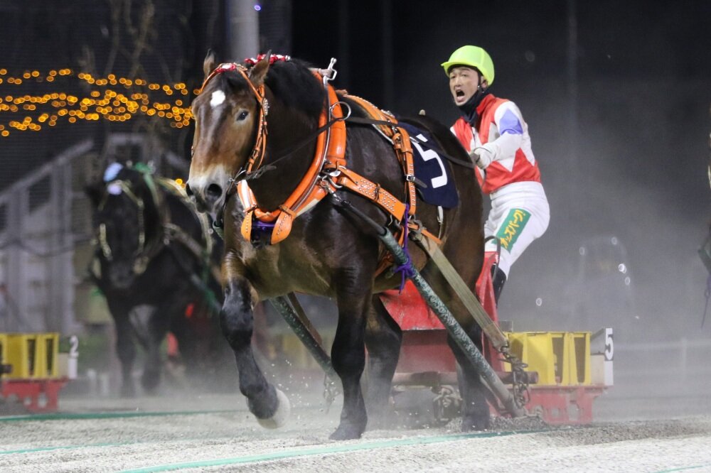ナナカマド賞を制したクリスタルザイオン（写真提供・ばんえい十勝）
