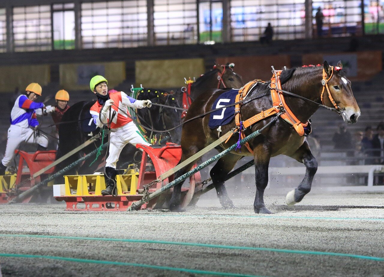 ナナカマド賞を制したクリスタルザイオン（写真提供・ばんえい十勝）