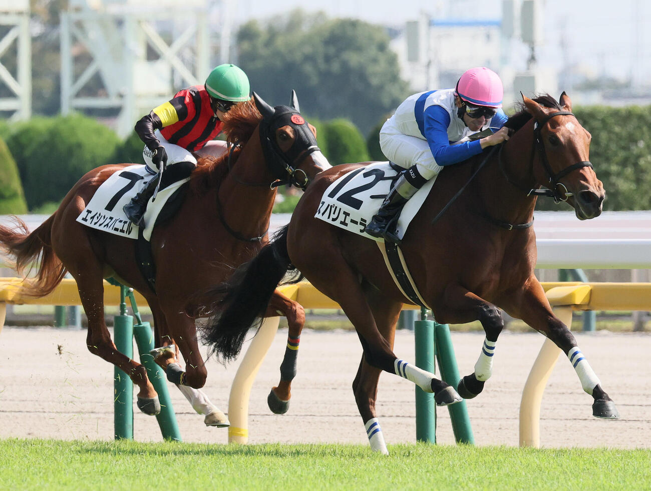 東京5R、2歳牝馬限定の新馬戦を制したスパリエーラと横山和生騎手（撮影・丹羽敏通）
