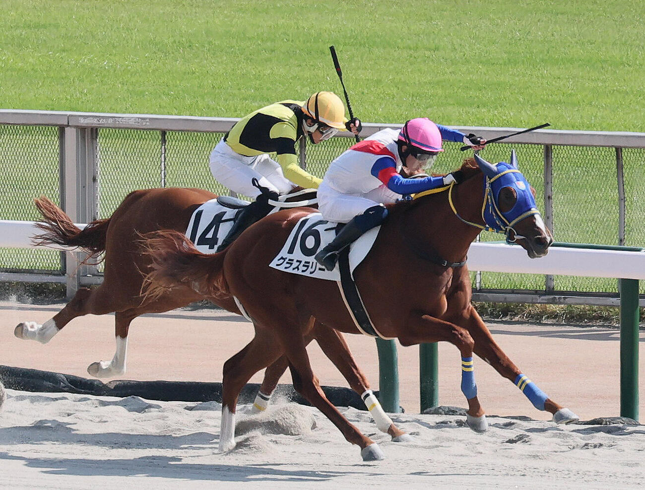 東京6R、2歳新馬戦を制したグラスラリーと小林脩斗騎手（撮影・丹羽敏通）