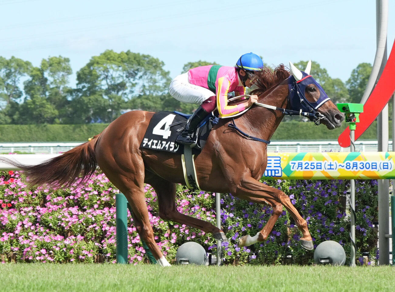 納屋橋特別を制したテイエムアイラン