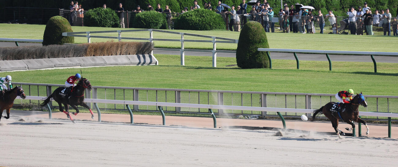 プラタナス賞を5馬身差で圧勝したウィンターブリーズとC・ルメール騎手（撮影・丹羽敏通）