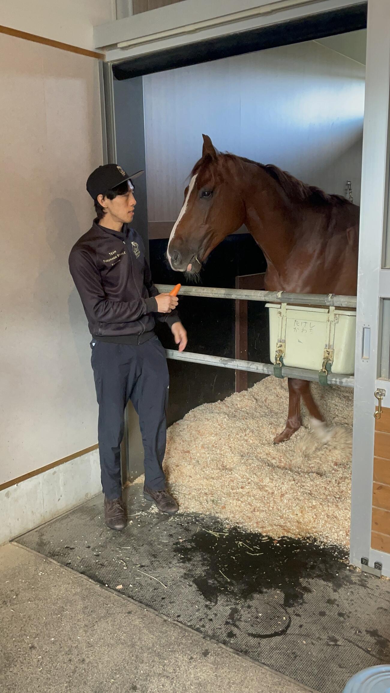 激闘から一夜明けて馬房で藤巻助手からにんじんをもらうメイショウハチロー