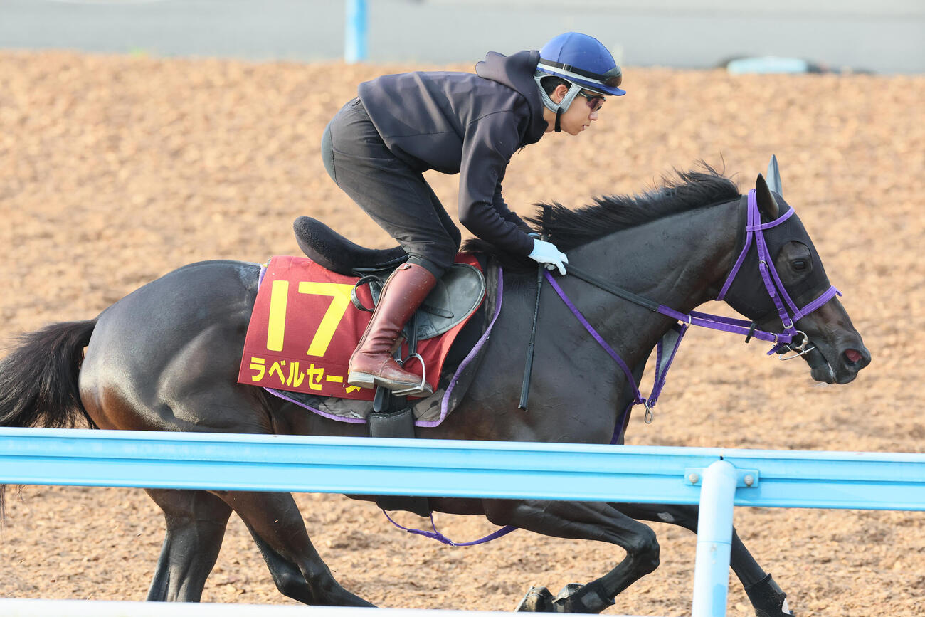 14日、ラベルセーヌは荻野極騎手を背に美浦ウッドで追い切られた