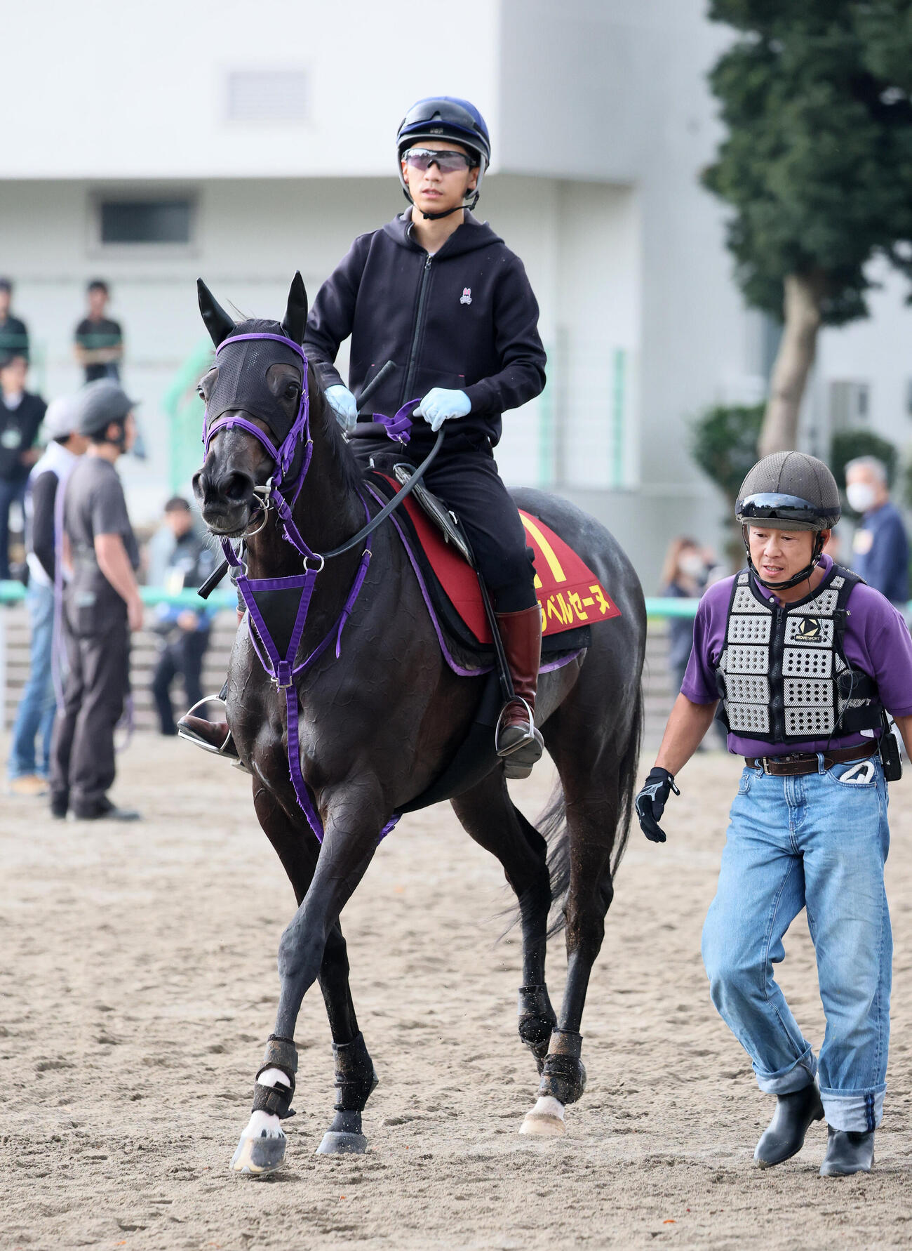 14日、追い切りを終えて馬場を出るラベルセーヌと荻野極騎手
