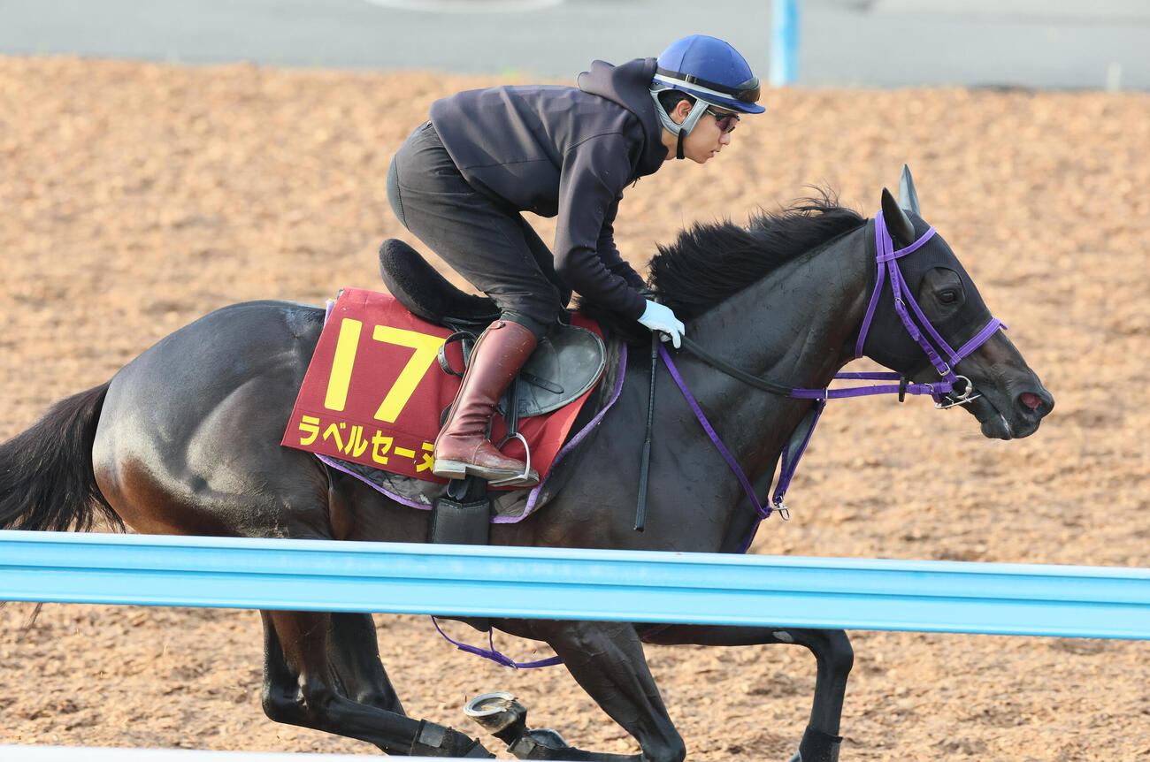 14日、ラベルセーヌは荻野極騎手を背に美浦ウッドで追い切られた