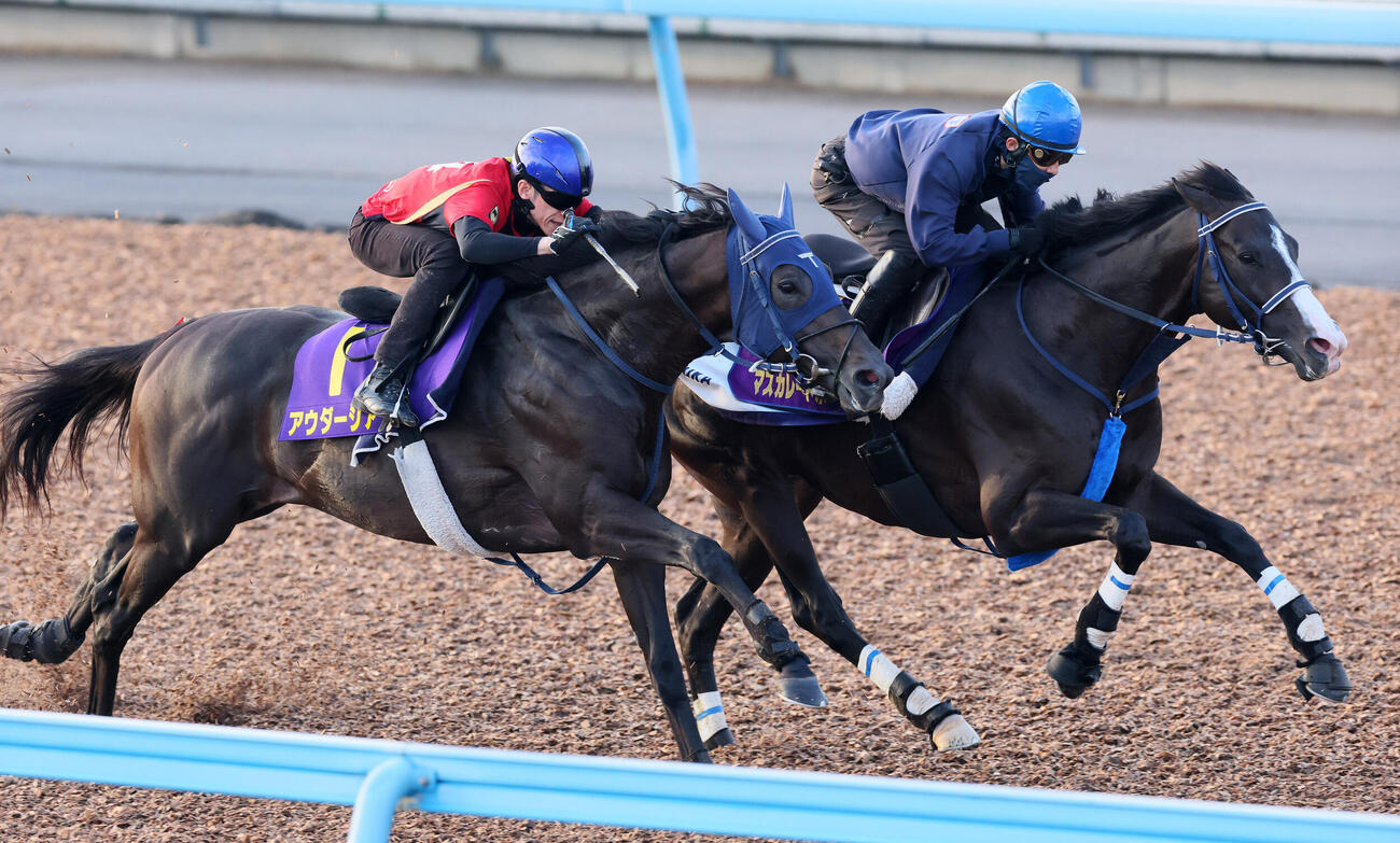 14日、アウダーシア（手前）は津村明秀騎手を背に美浦ウッドでマスカレードボールと併せて追い切られた