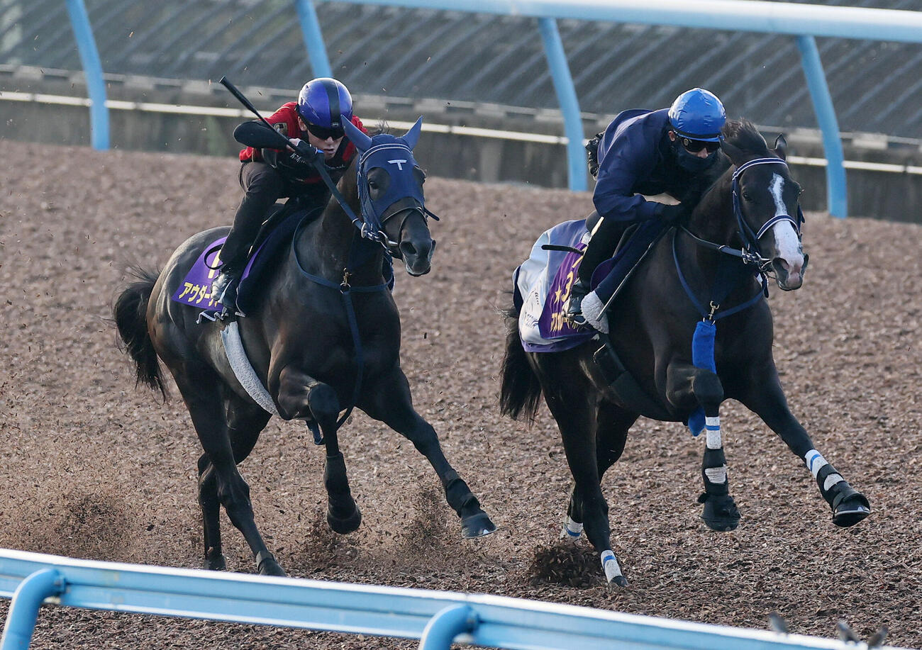 14日、アウダーシア（左）は津村明秀騎手を背に美浦ウッドでマスカレードボールと併せて追い切られた