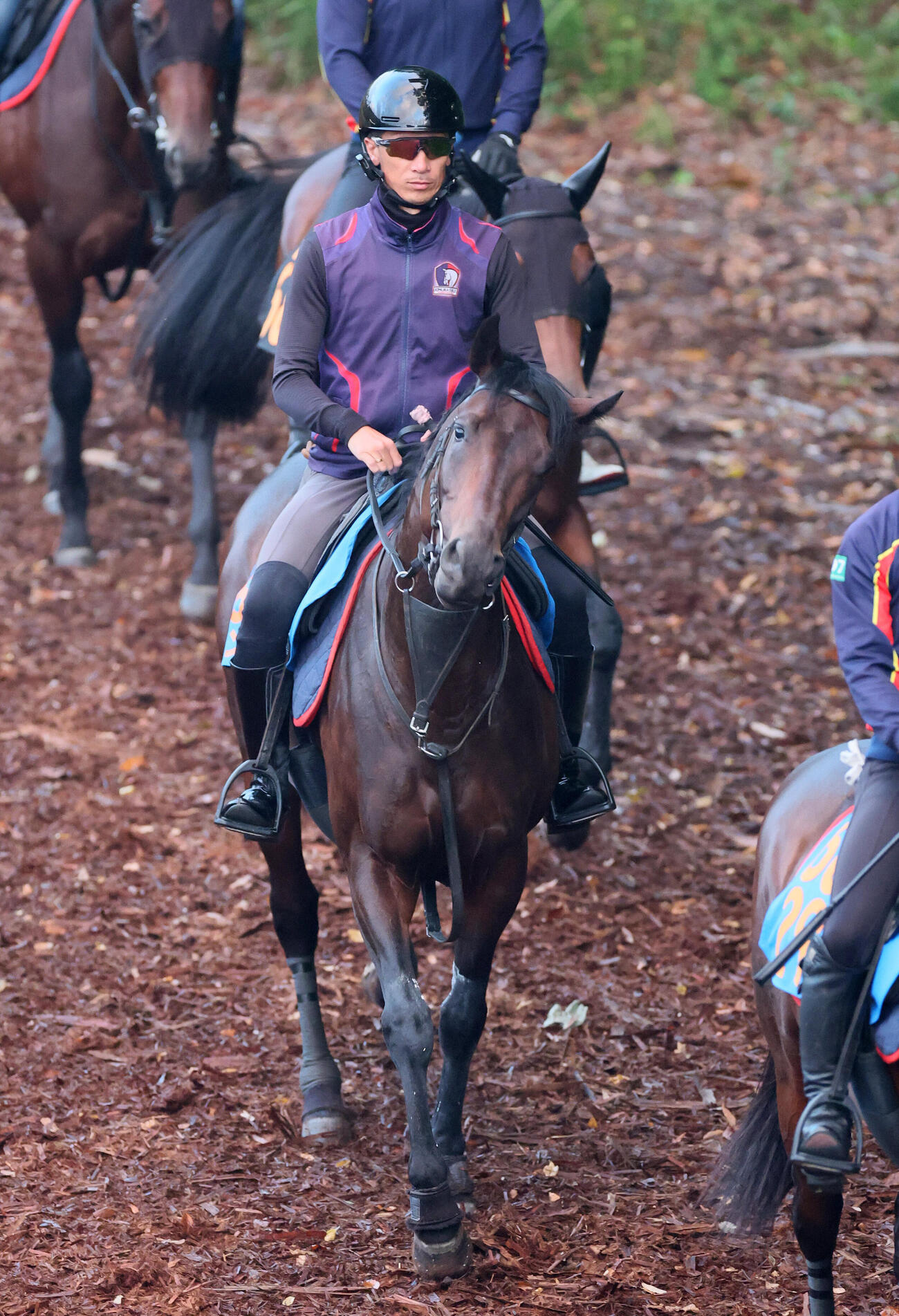 14日、逍遥馬道で乗り運動するアンパドゥ