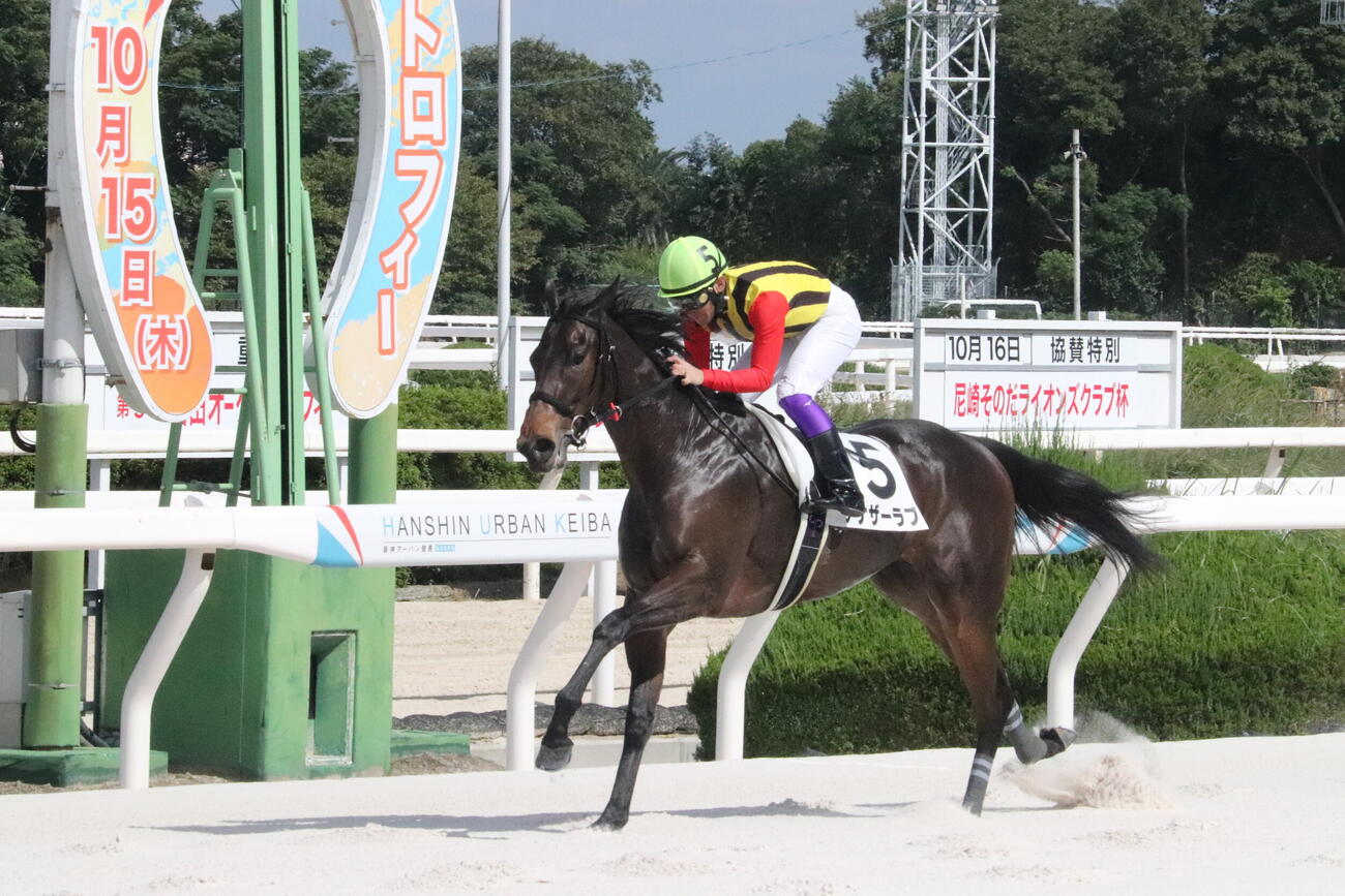 15日の園田3R2歳初出走を勝利したアナザーラブ