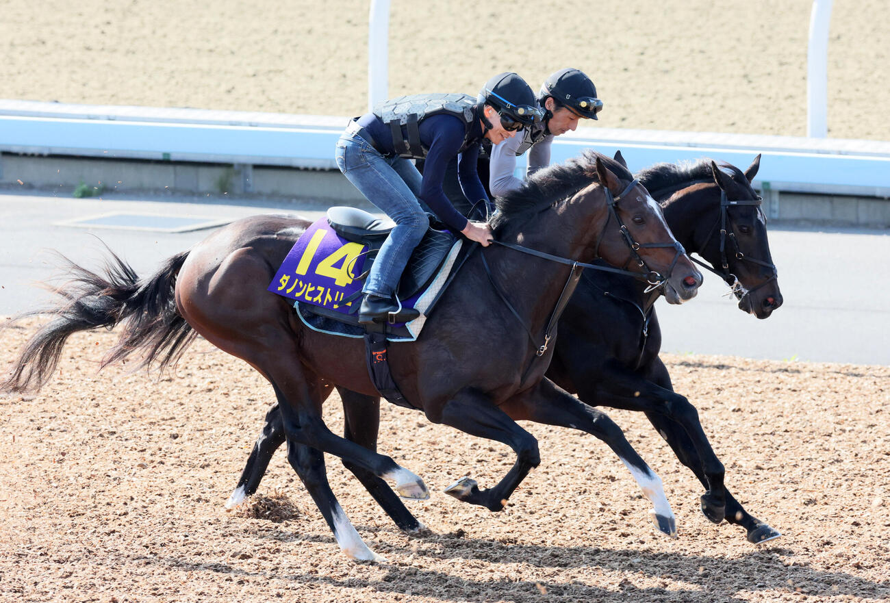 ダノンヒストリー（手前）は美浦ウッドを併せ馬で追い切られた（撮影・丹羽敏通）
