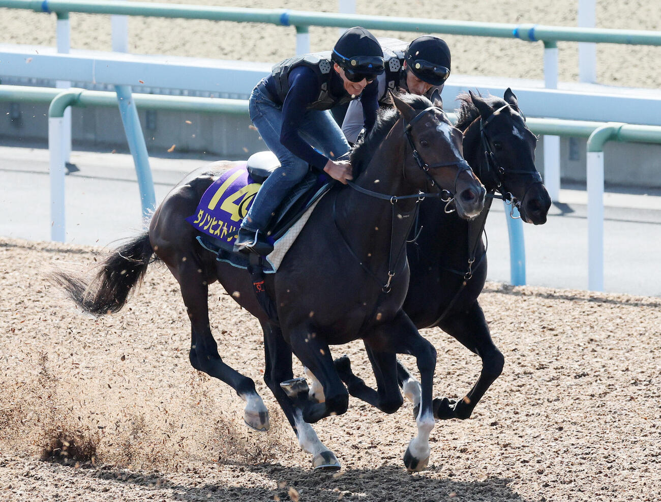 ダノンヒストリー（手前）は美浦ウッドを併せ馬で追い切られた（撮影・丹羽敏通）