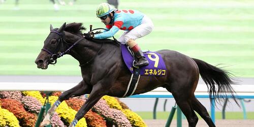 菊花賞を制したエネルジコ＝2025年10月26日