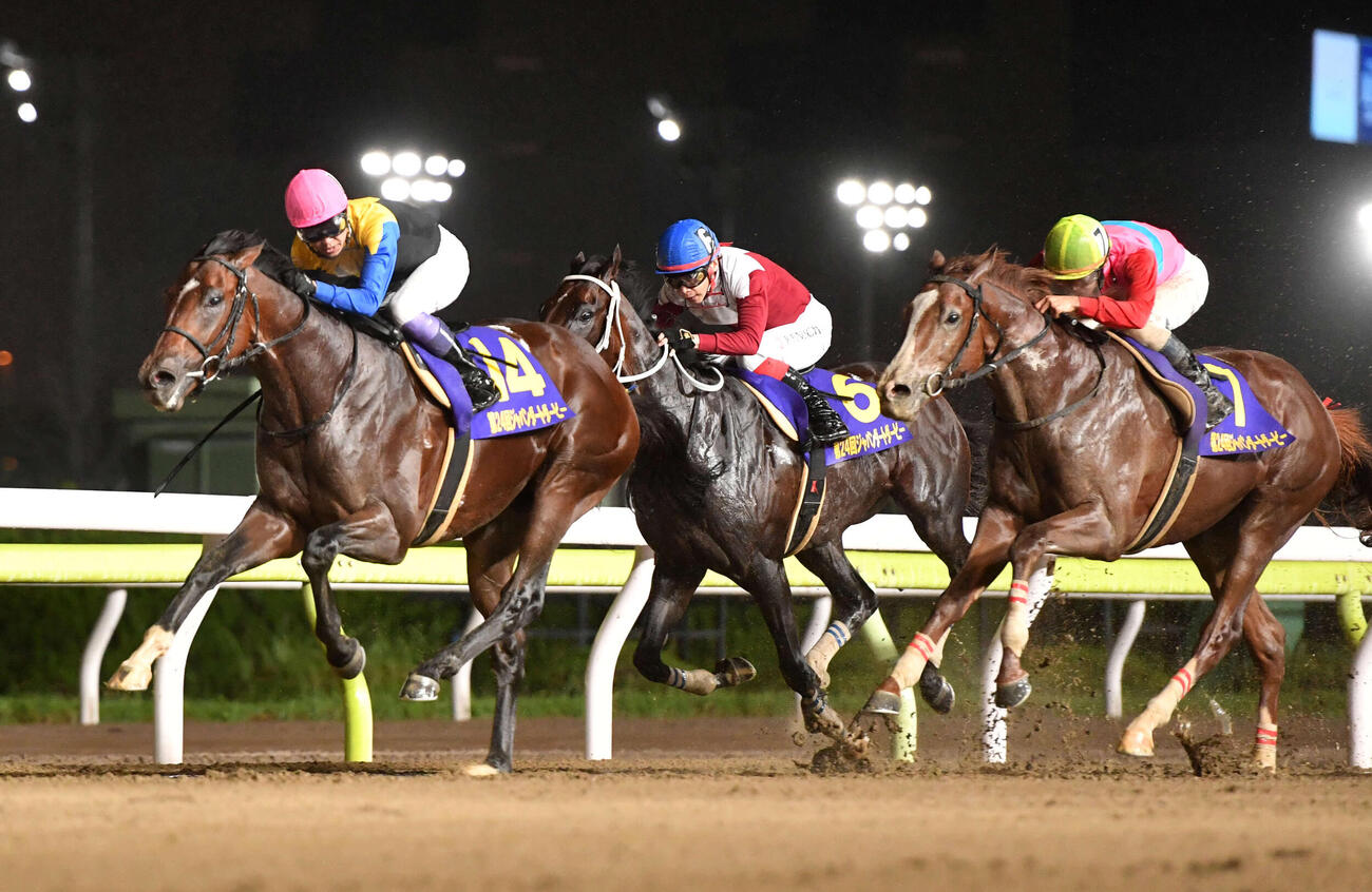ジャパンダートダービーを制したノットゥルノ（左）、2着ペイシャエス（右）、3着ブリッツファング（2022年7月13日撮影）