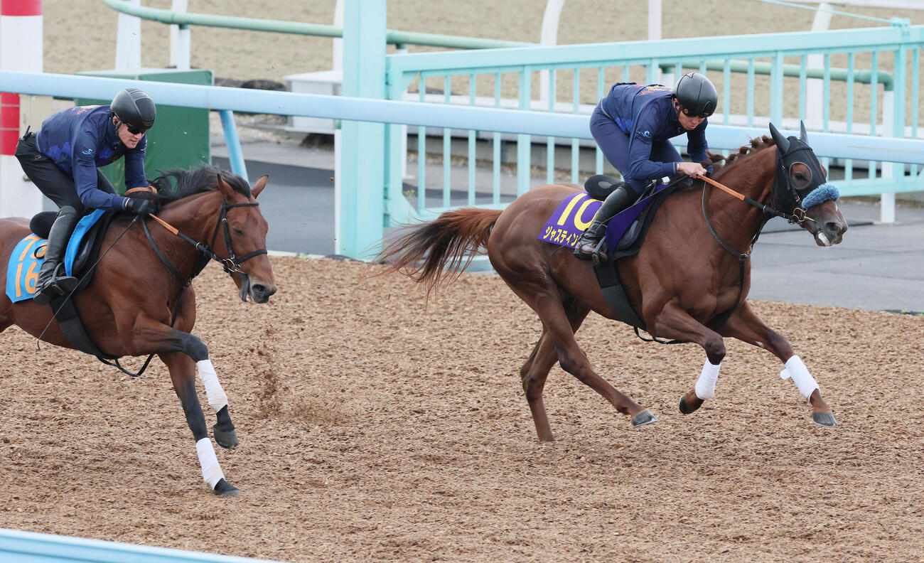 15日、ジャスティンシカゴ（右）は美浦ウッドでドゥラドーレス（左）などと併せて追い切られた