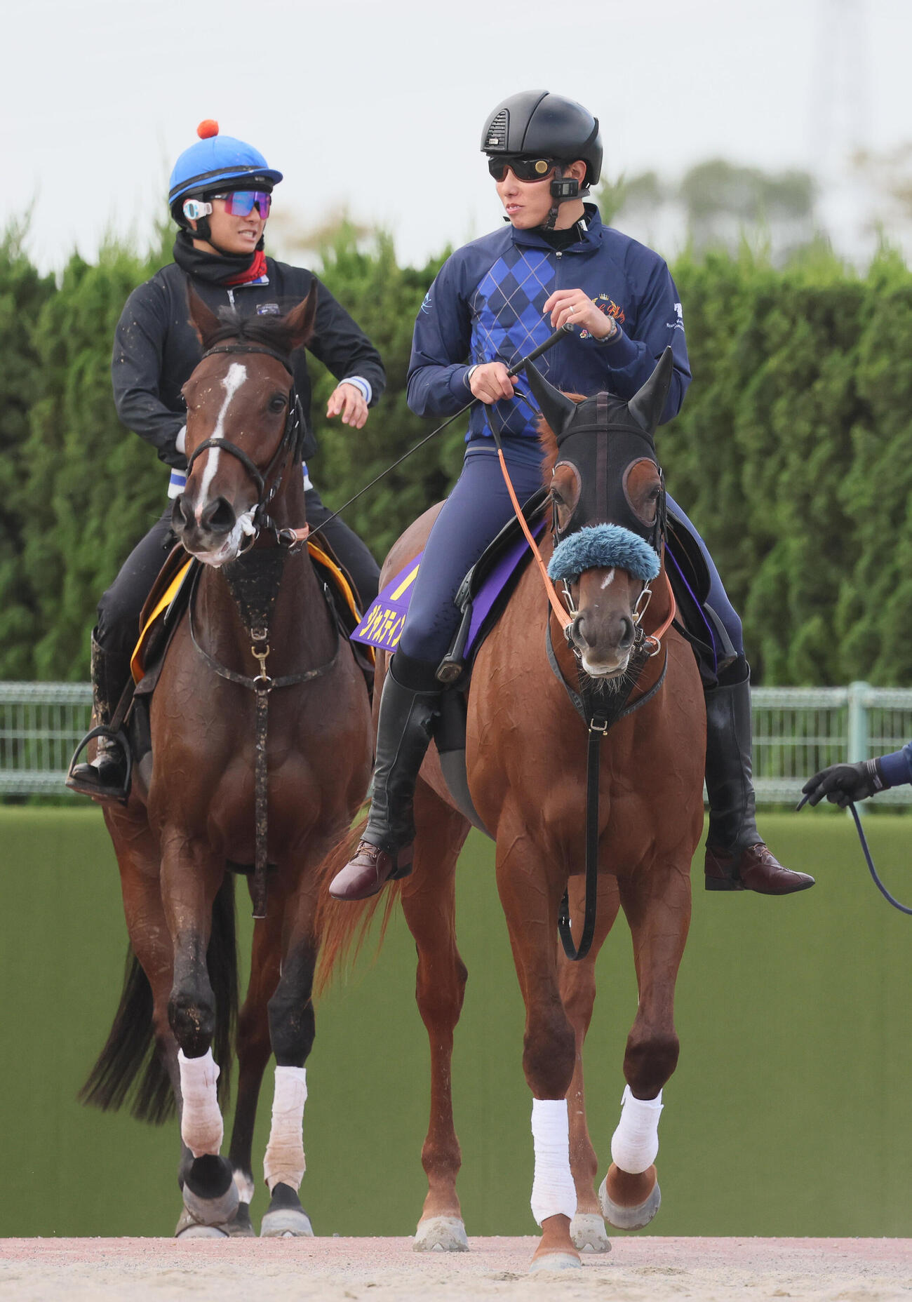 15日、1週前追い切りを終えて馬場を出るジャスティンシカゴ（右）