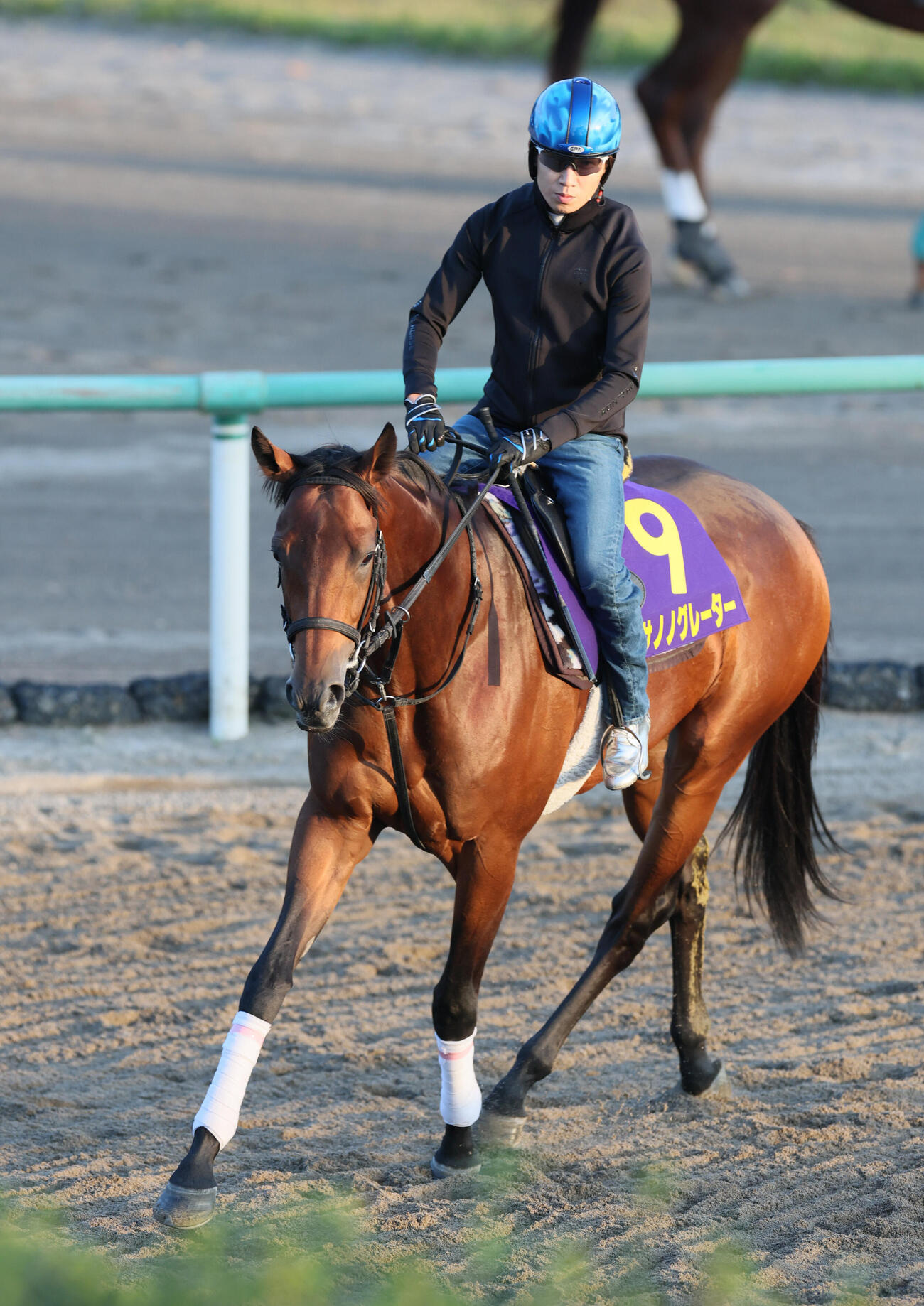 15日、角馬場で田辺裕信騎手を背に運動するサノノグレーター
