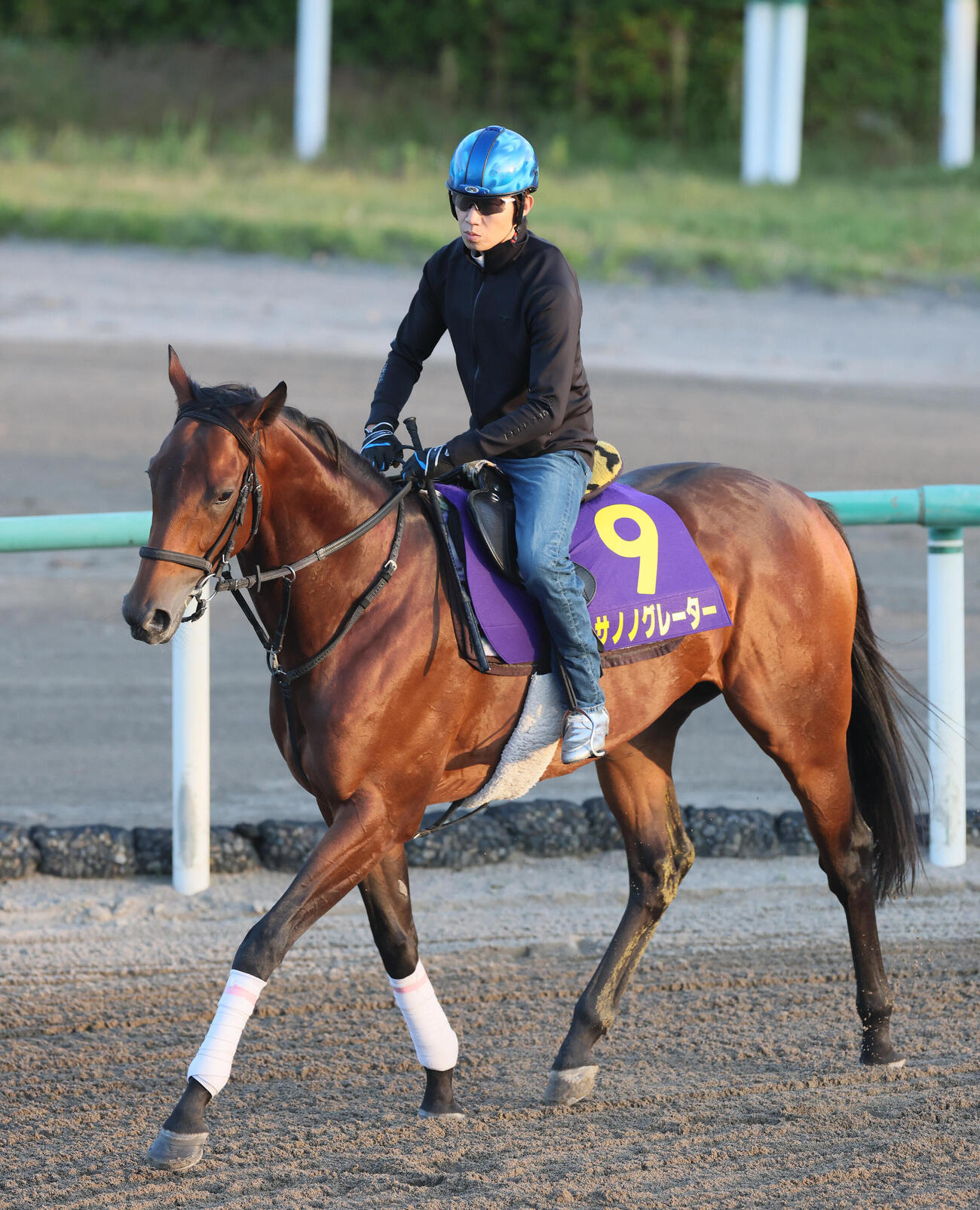 15日、角馬場で田辺裕信騎手を背に運動するサノノグレーター