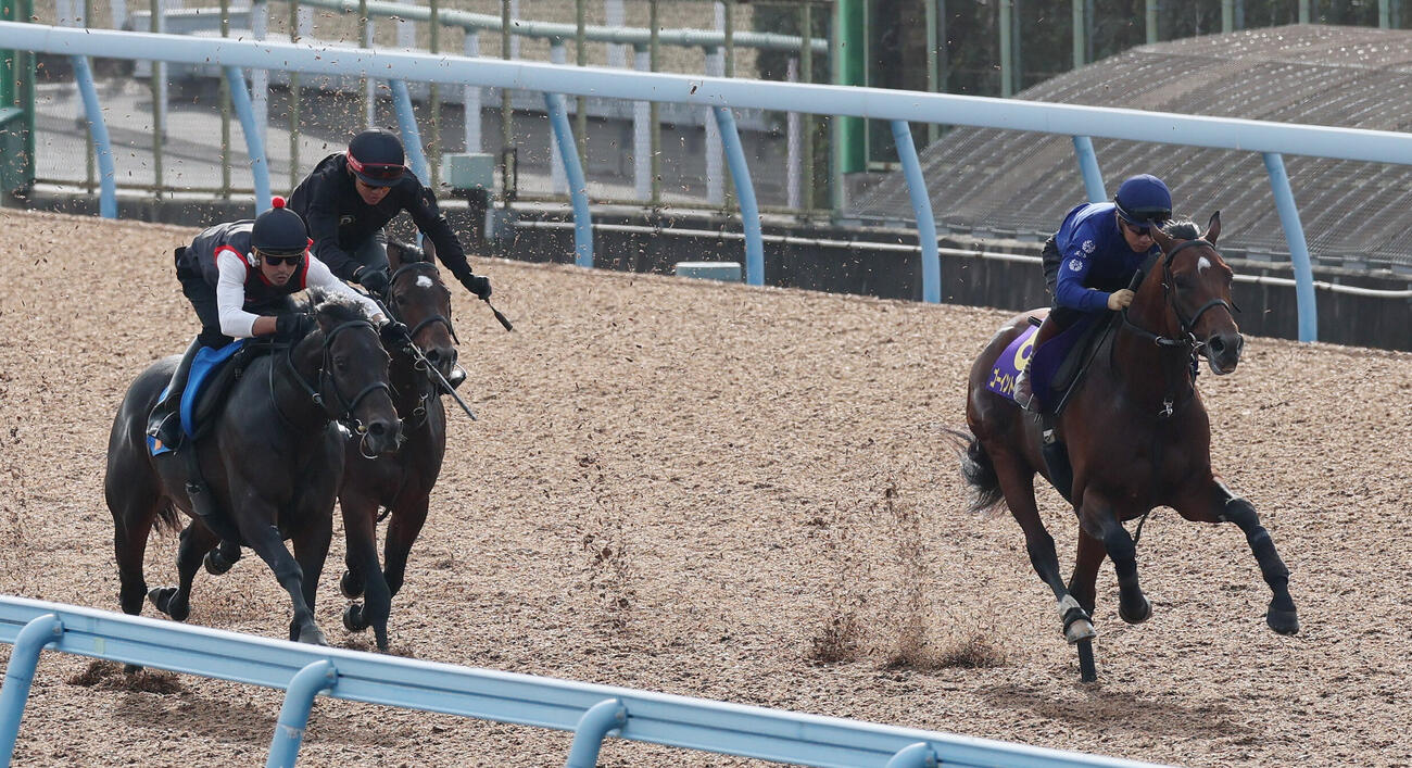 15日、ゴーイントゥスカイ（右）は荻野極騎手を背に美浦ウッドで僚馬2頭と併せ馬で追い切られた
