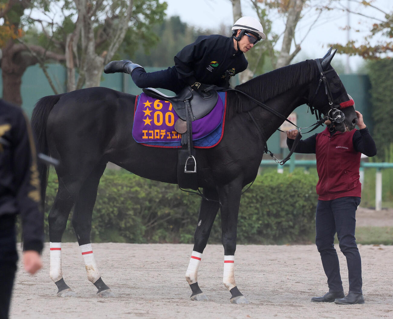 15日、追い切りを終えたエコロデュエルから下馬する草野太郎騎手