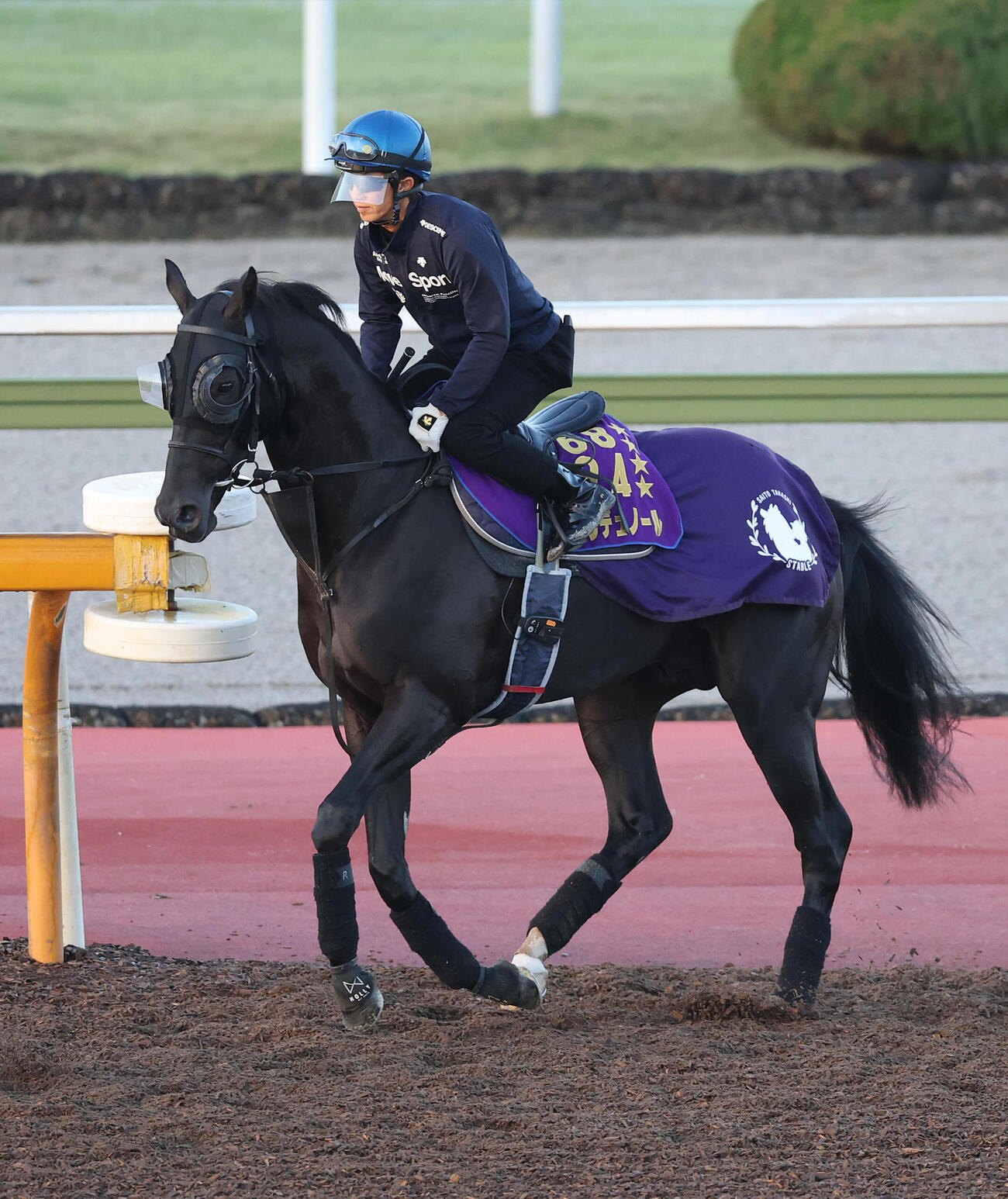 幸英明騎手を背に馬場入りするクロワデュノール（撮影・白石智彦）