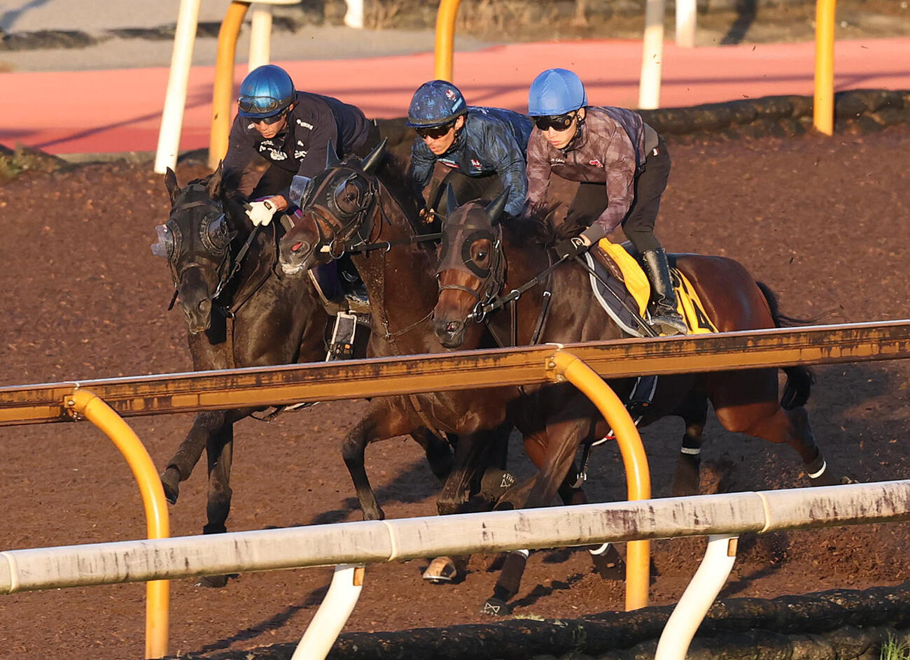 Cウッドを3頭併せで追い切る幸英明騎手騎乗のクロワデュノール（左）と川田将雅騎手騎乗のバステール（中央）（撮影・白石智彦）
