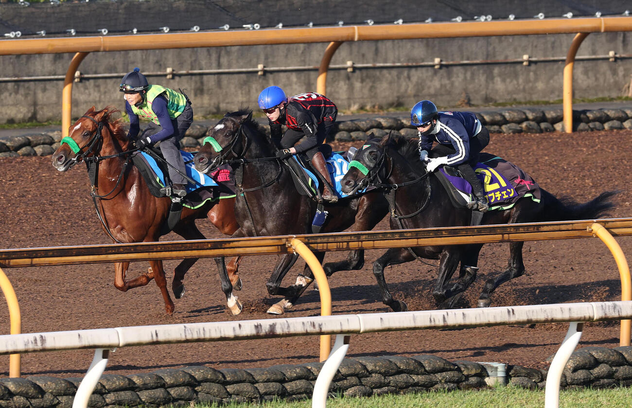 松山弘平騎手を背にCウッドを3頭併せで追い切るロブチェン（右）（撮影・白石智彦）