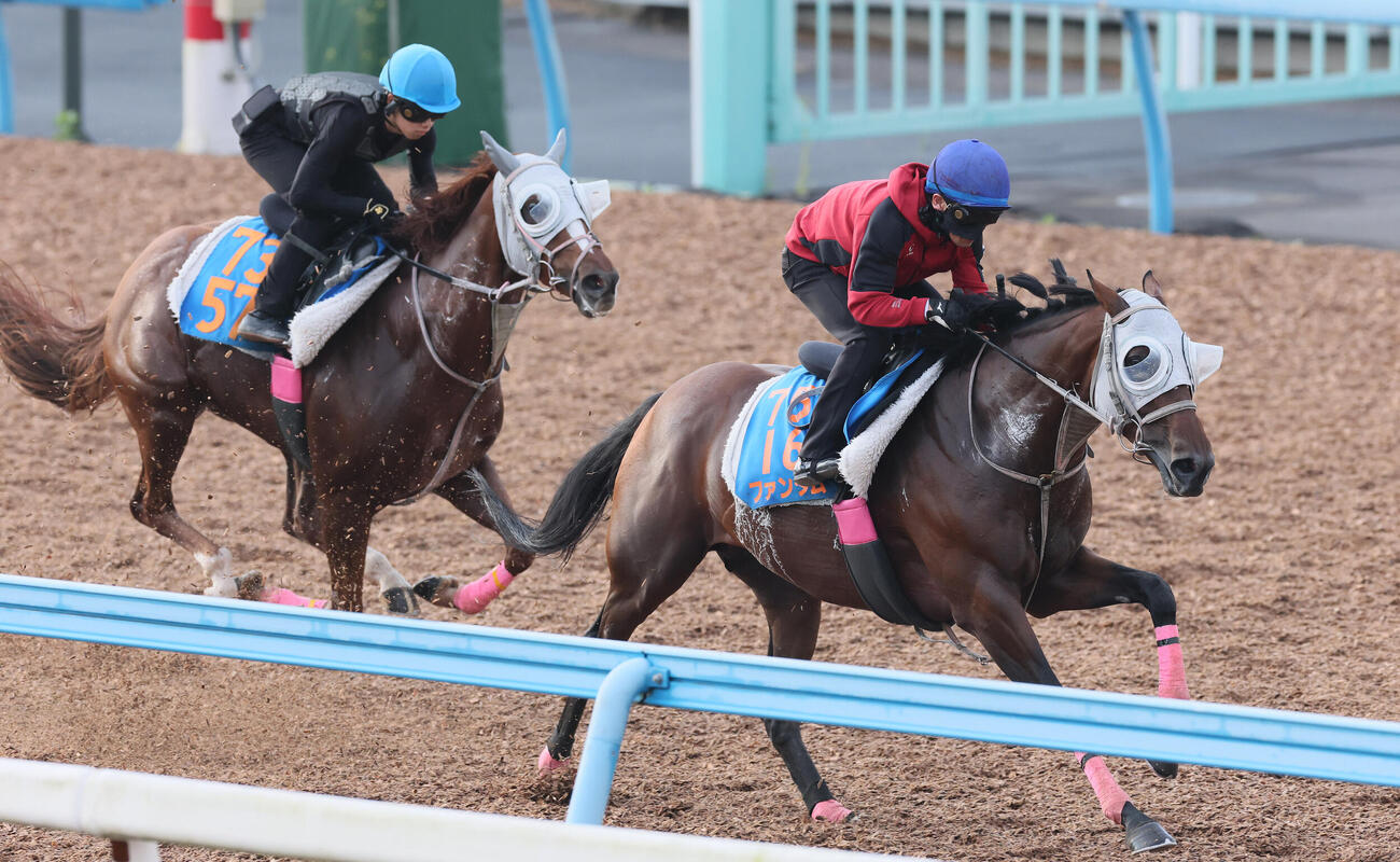 ファンダム（右）は戸崎圭太騎手を背に美浦ウッドで追い切られた（撮影・丹羽敏通）