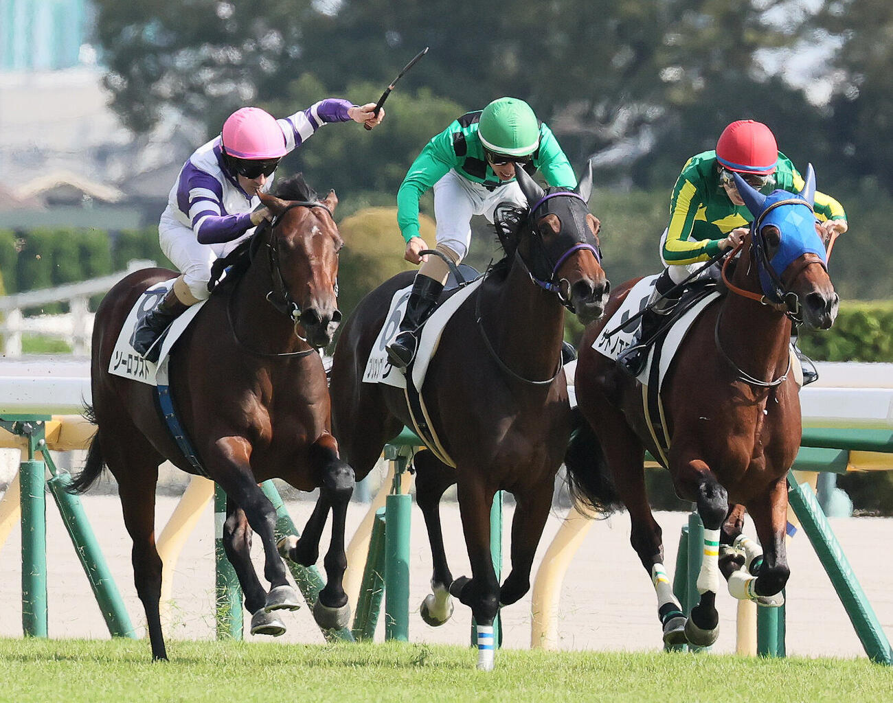東京5R、2歳新馬戦を制したソーロブストとクリストフ・ルメール騎手（左）（撮影・丹羽敏通）