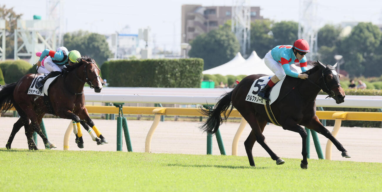 東京4R、2歳新馬戦を快勝したジルファノーガとクリストフ・ルメール騎手（撮影・丹羽敏通）