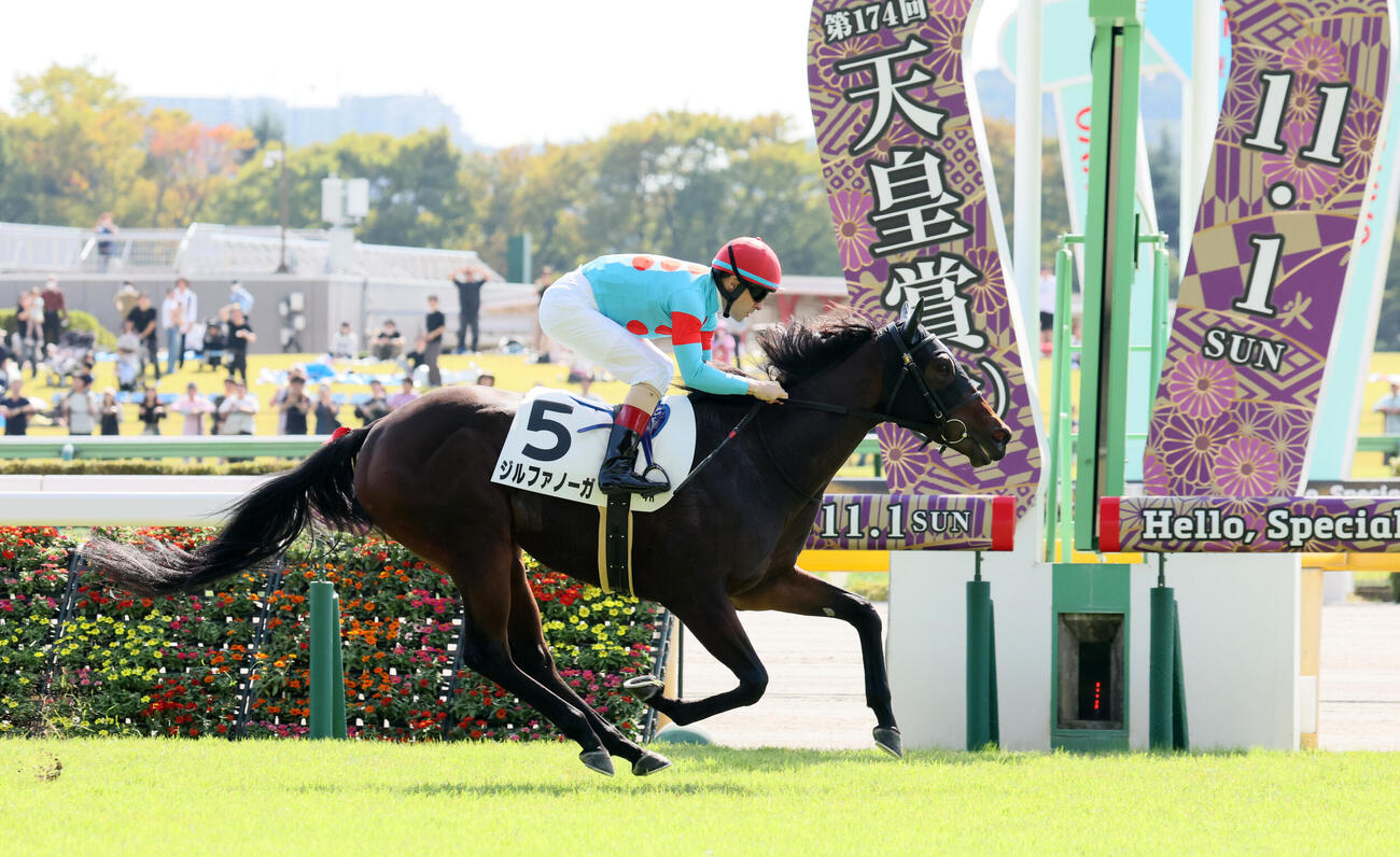 東京4R、2歳新馬戦を快勝したジルファノーガとクリストフ・ルメール騎手（撮影・丹羽敏通）